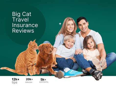 big cat travel insurance reviews